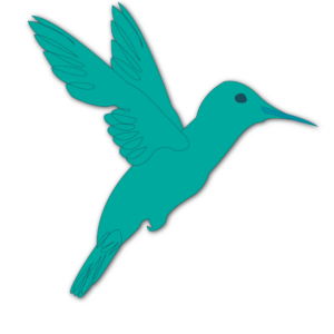 CelineConcept - Web Design - Logo colibri