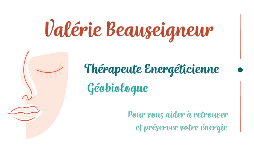 Design - Site internet - Logo - 47 - Carte de visite créée pour la société Valérie Beauseigneur designed by CelineConcept