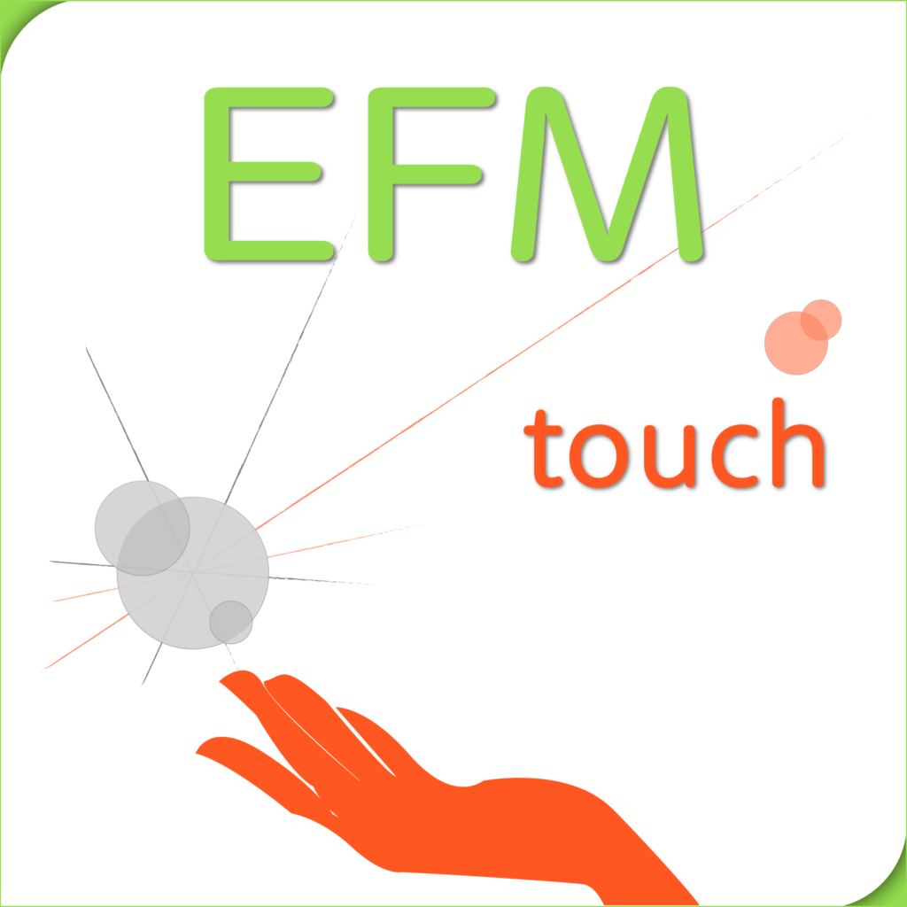 Design logo societe EFM touch - By CelineConcept