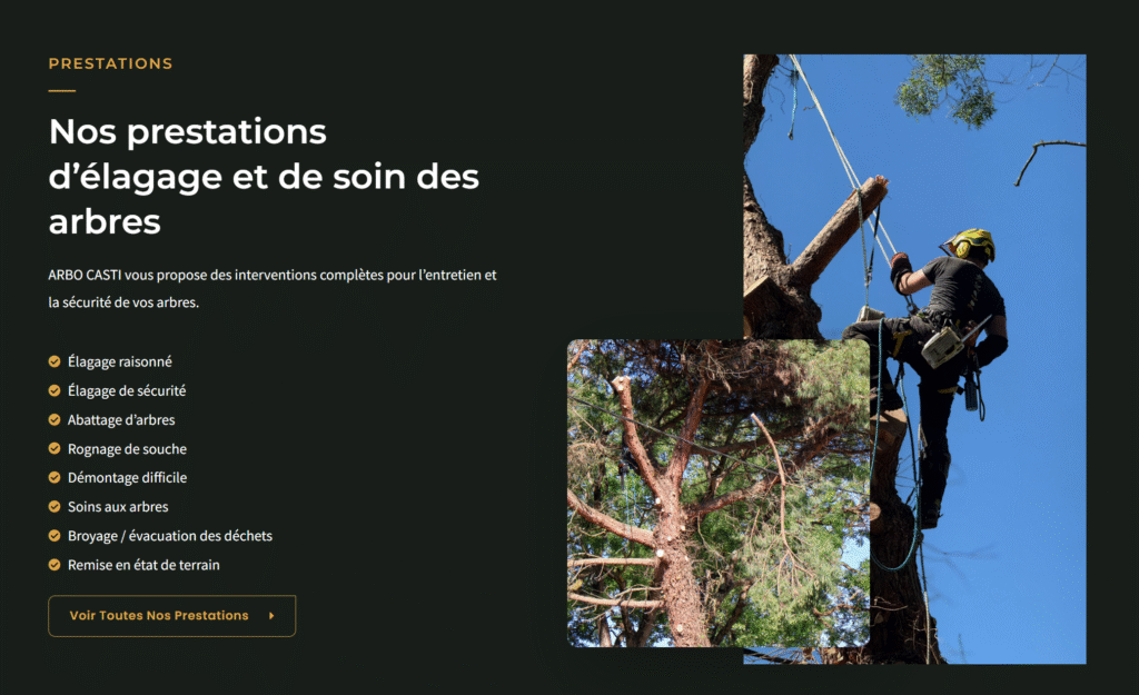 Création site élagage Castillonnes arbocasti