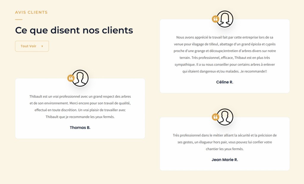 Création site élagage Castillonnes arbocasti