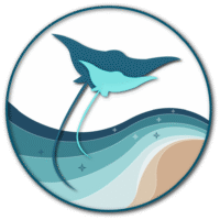 Création logo entreprise moanadoConsulting by CelineConcept Création logo entreprise moanadoConsulting by CelineConcept